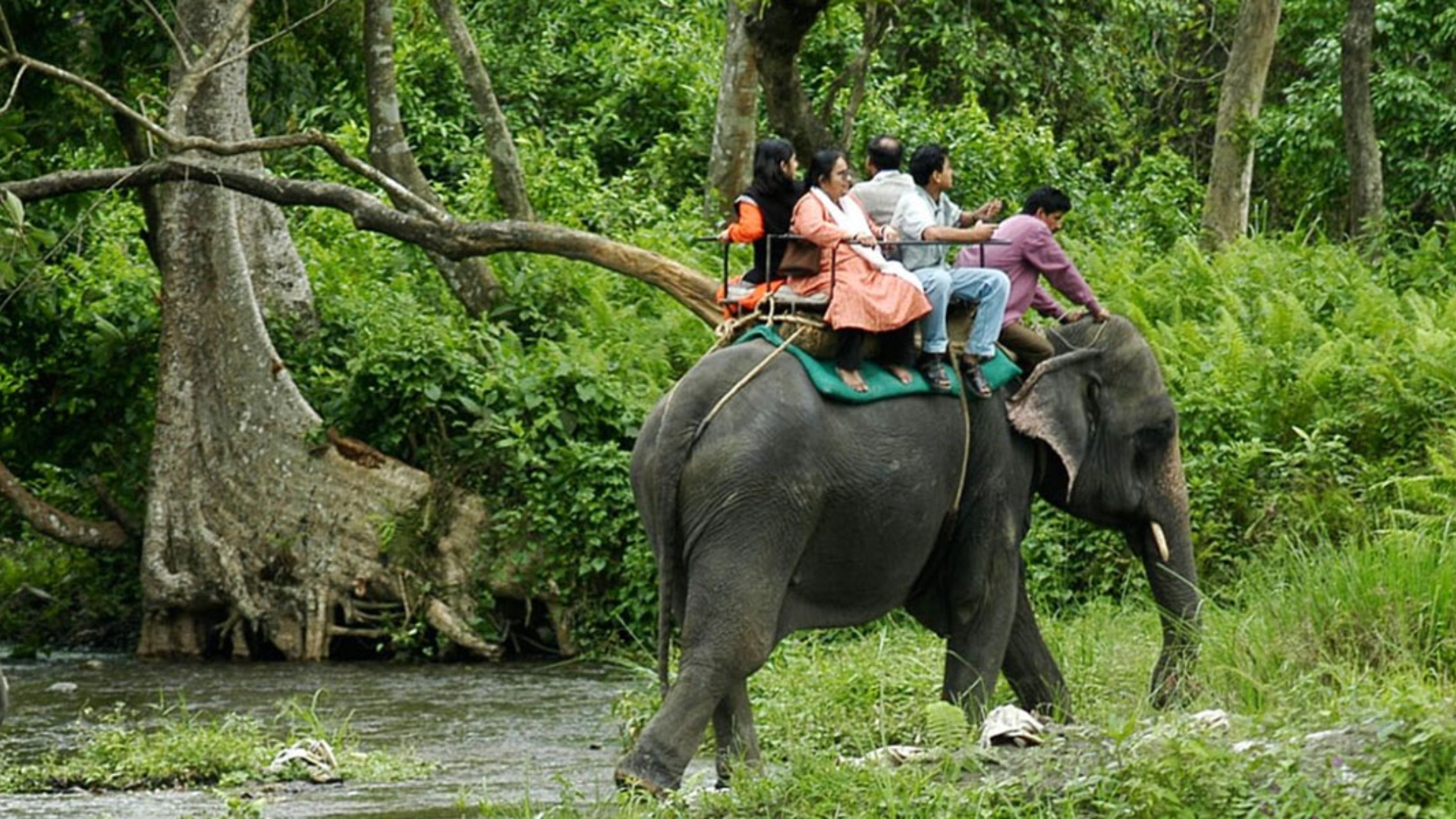 dooars jungle safari booking